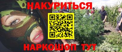кокаин Новозыбков