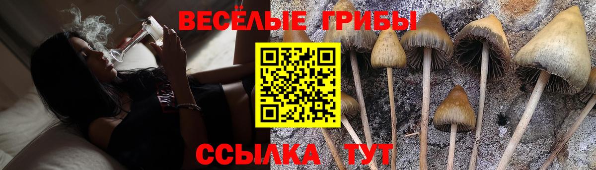 Галлюциногенные грибы мицелий Нарьян-Мар
