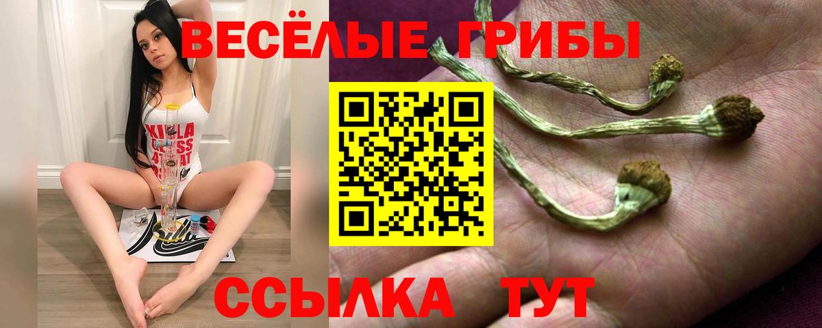 Псилоцибиновые грибы Psilocybe  Вход с VPN  Нарьян-Мар 