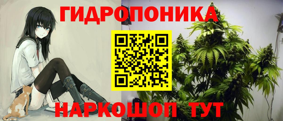Бошки марихуана марихуана Нарьян-Мар
